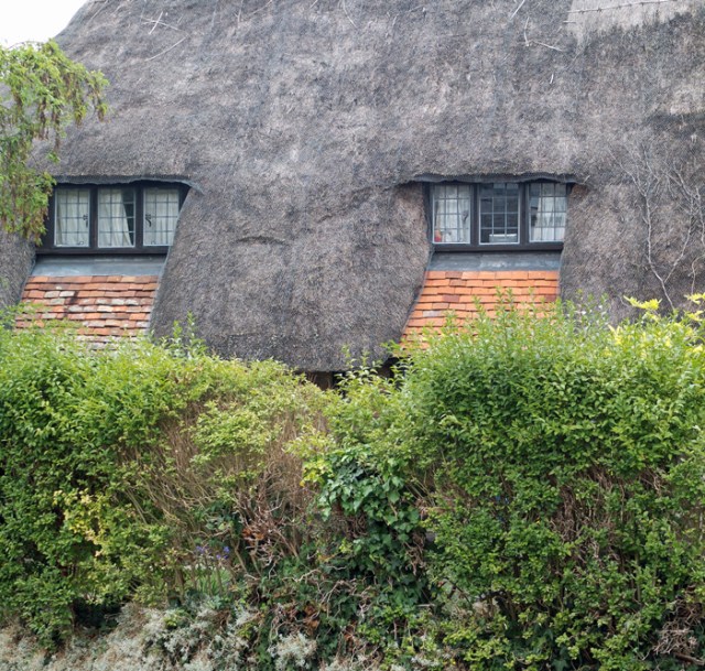 "Lion" cottage, Salisbury.