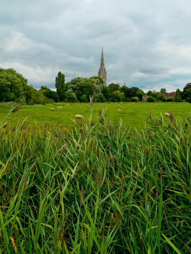 Salisbury across fields.