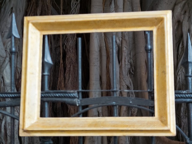 Banyan tree seen through picture frame at bric-a-brac  market in Gardinio Garribaldi.