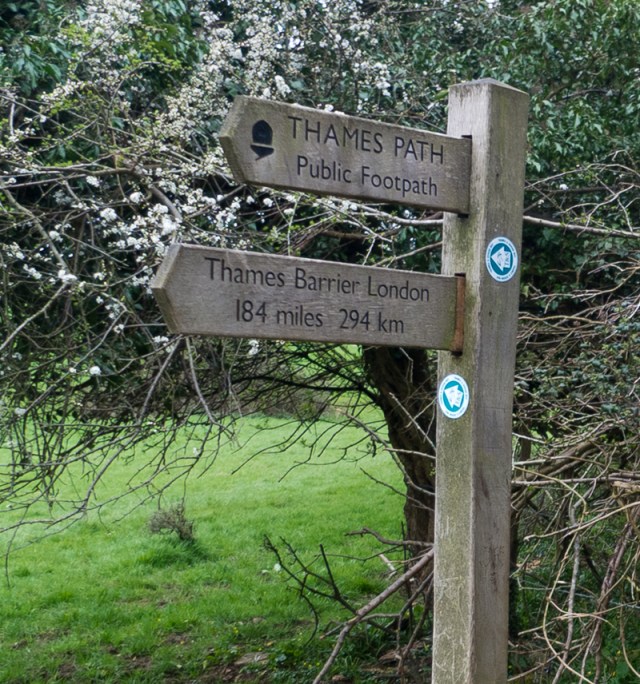 The source of The Thames.