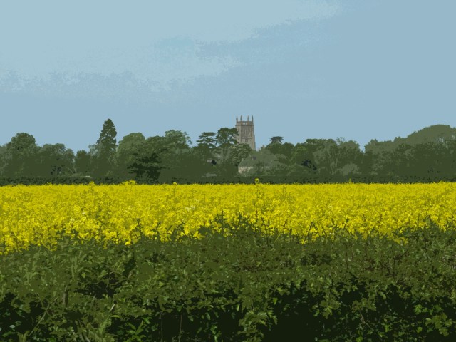 Field of oilseed.