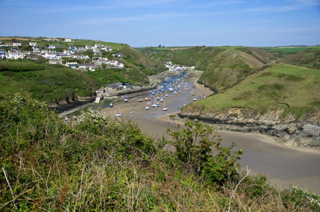 Estuary at Solva.