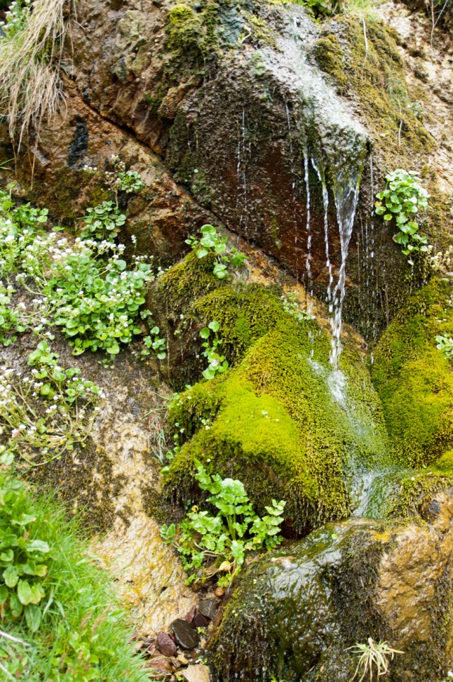 Waterfall on beach by campsite at Caerfai Bay.