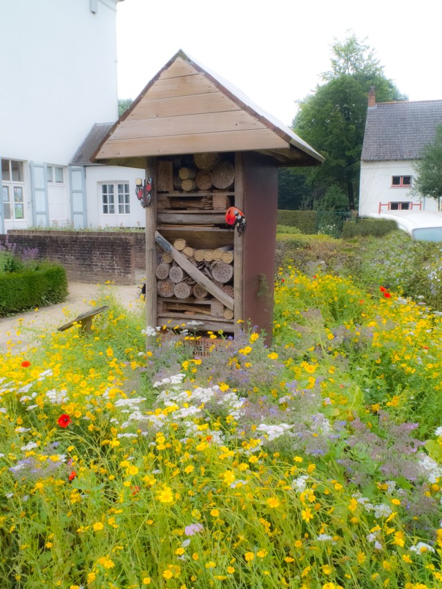 Bug house in conservation centre near Bruges.