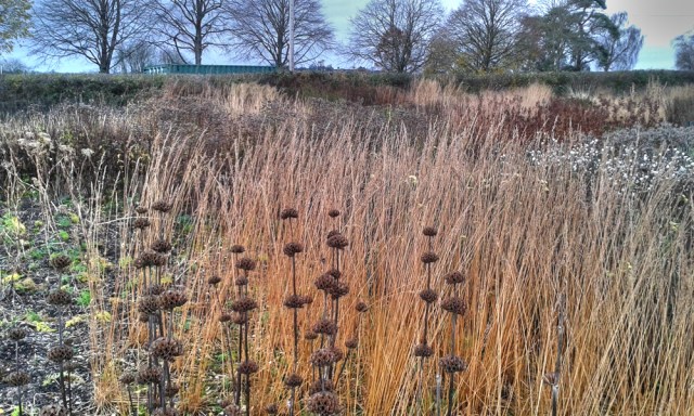 Hauser+WirthGardenA_1000