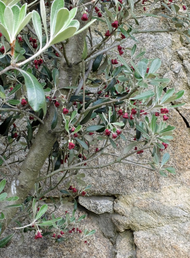 In the Parque Municipal das Virtudes.