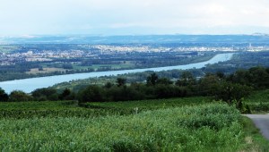 Chalon sur Soane from campsite.