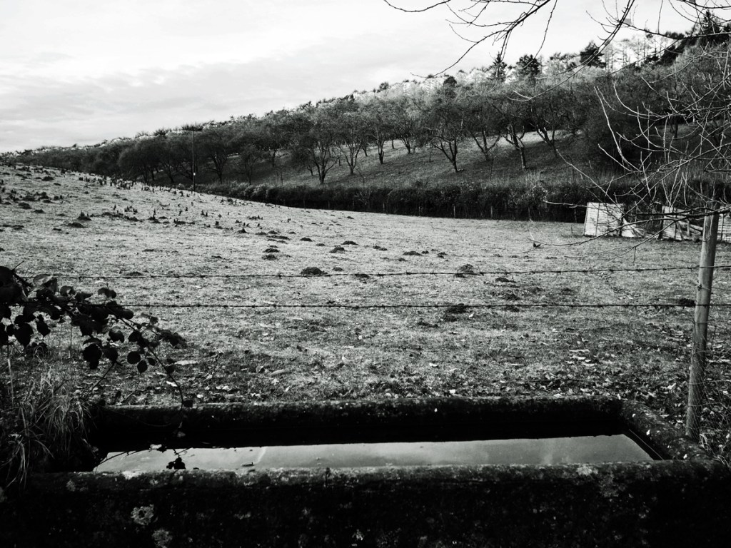 Water butt near Abbot's Pool, Abbot's Leigh.